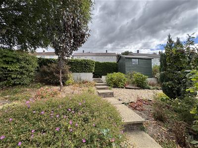 Picture 21
